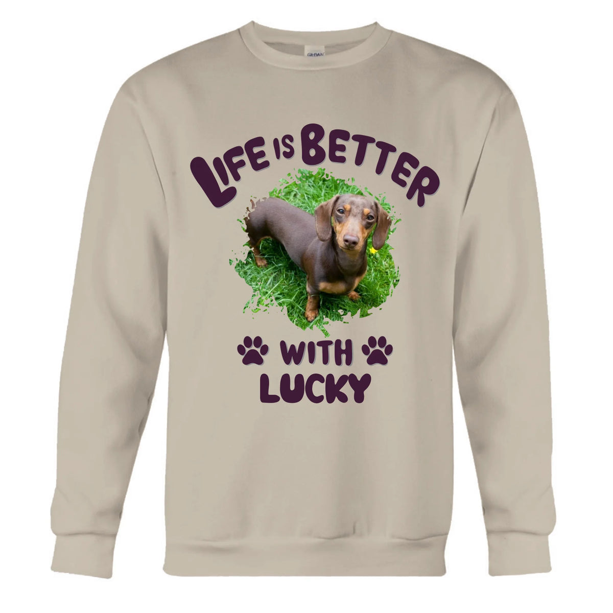 Sand Sweatshirt