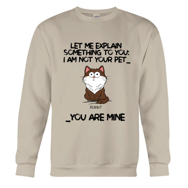 Sand Sweatshirt