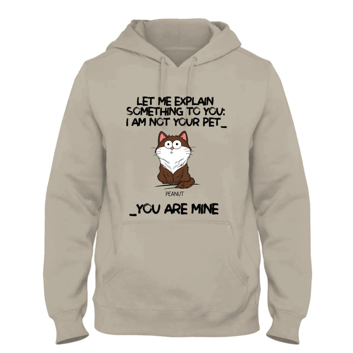 Sand Hoodie