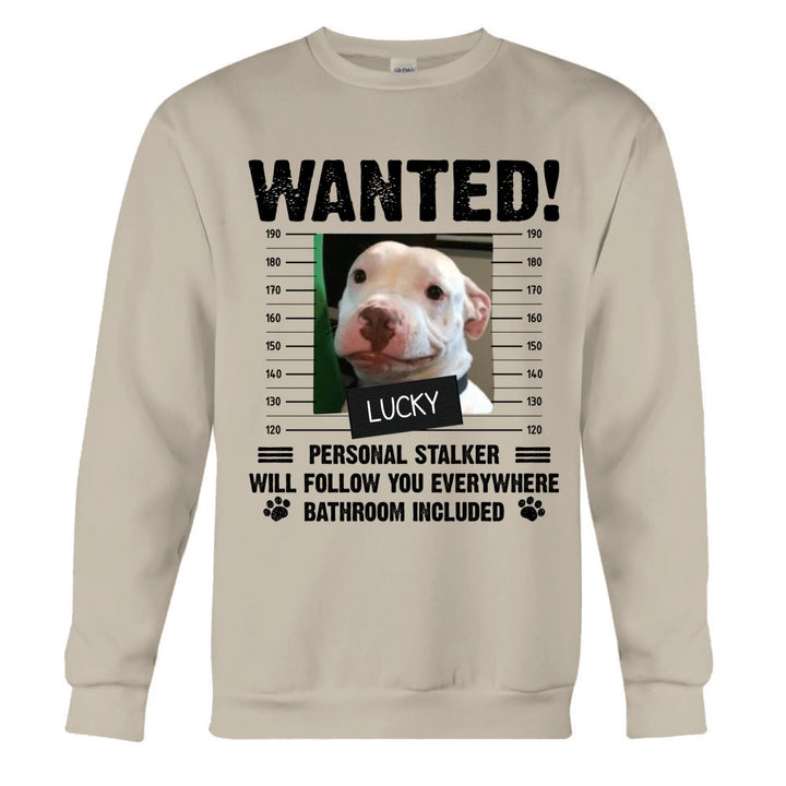 Sand Sweatshirt