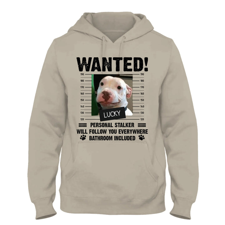 Sand Hoodie