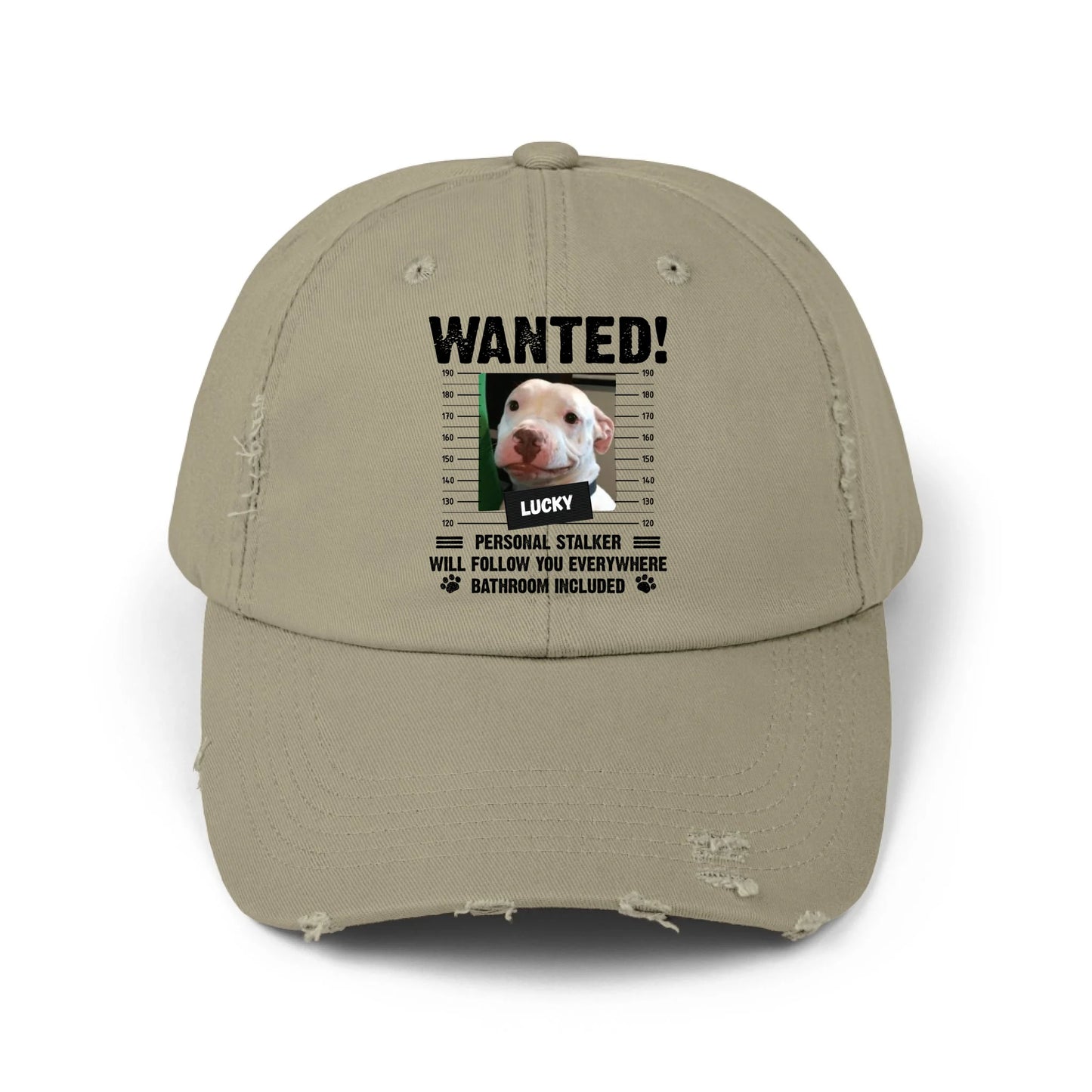 olive cap