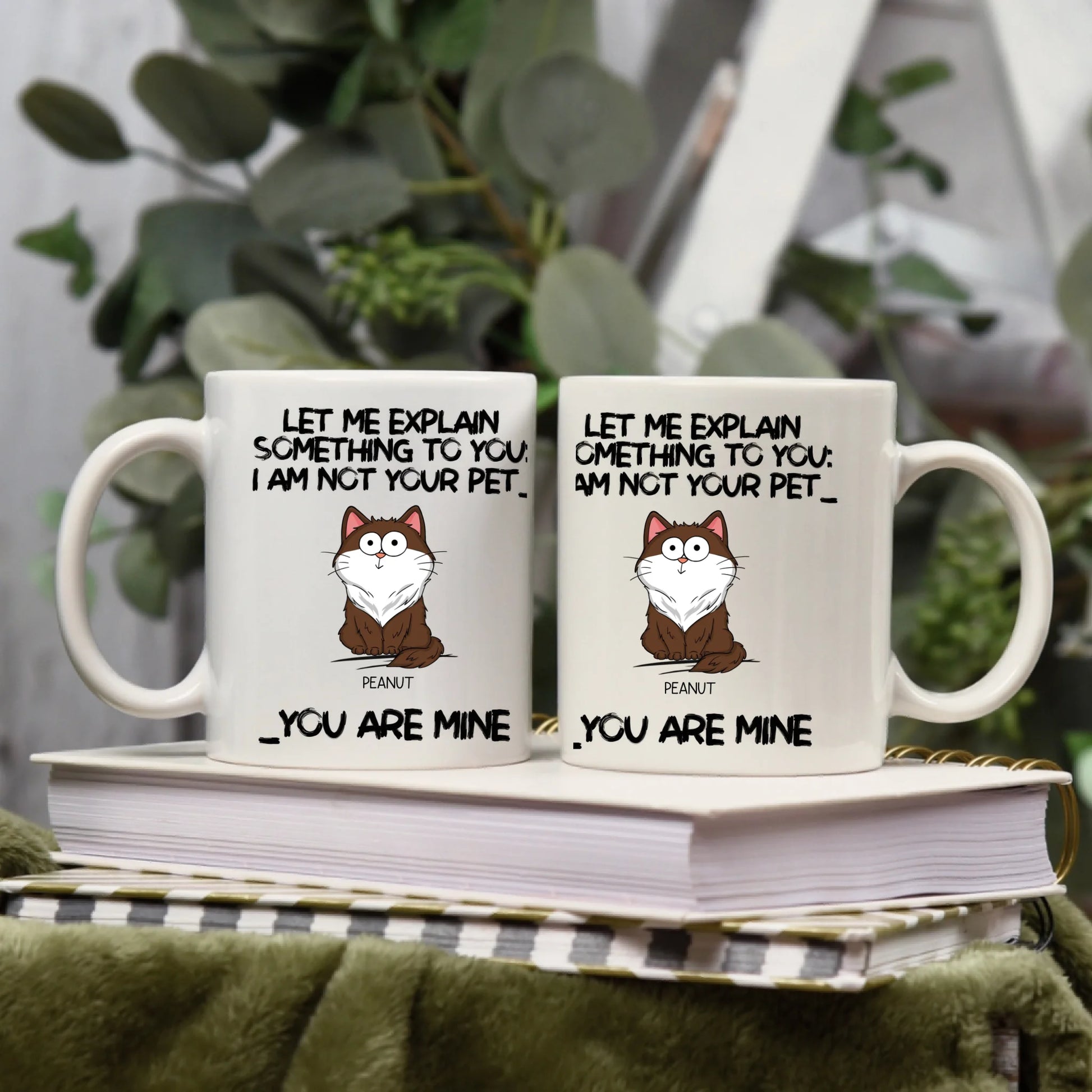 2 mug