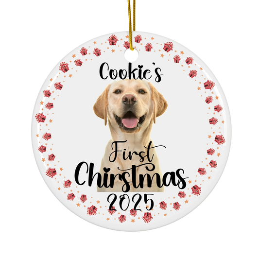 CeramicCircleOrnament_Transparent2