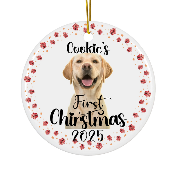 CeramicCircleOrnament_Transparent2
