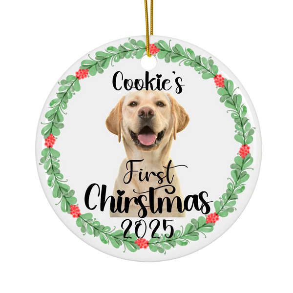 CeramicCircleOrnament_Transparent2