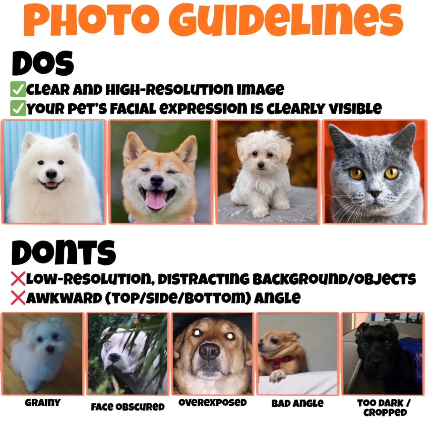 guidelines