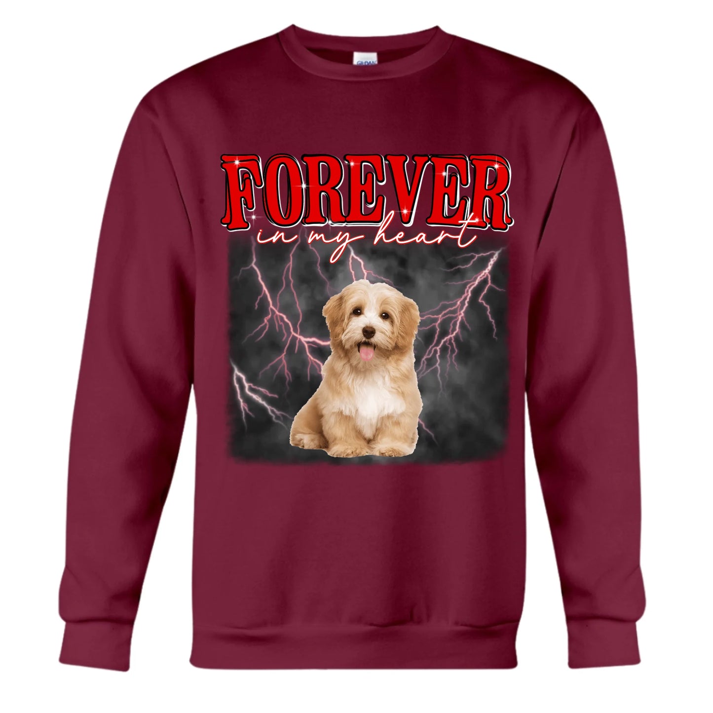 Maroon Sweatshirt