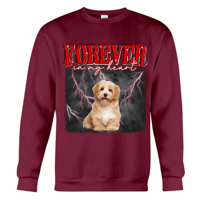Maroon Sweatshirt