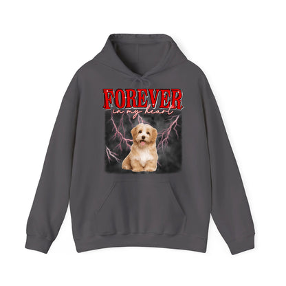 Charcoal Hoodie